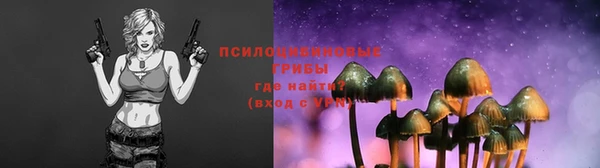 MDMA Михайловск