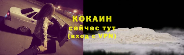 крисы Михайлов