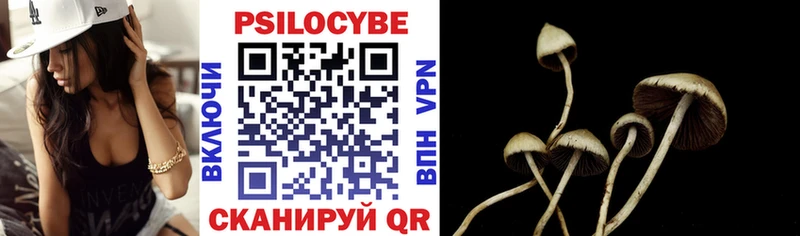 Галлюциногенные грибы Cubensis  купить   Воронеж 