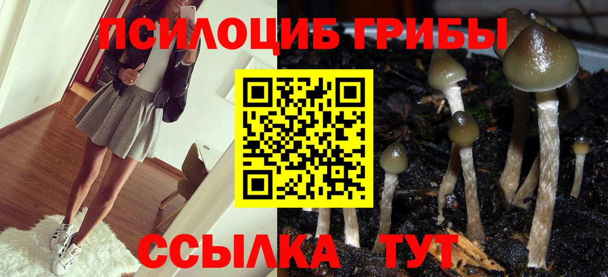 Псилоцибиновые грибы Cubensis Воронеж