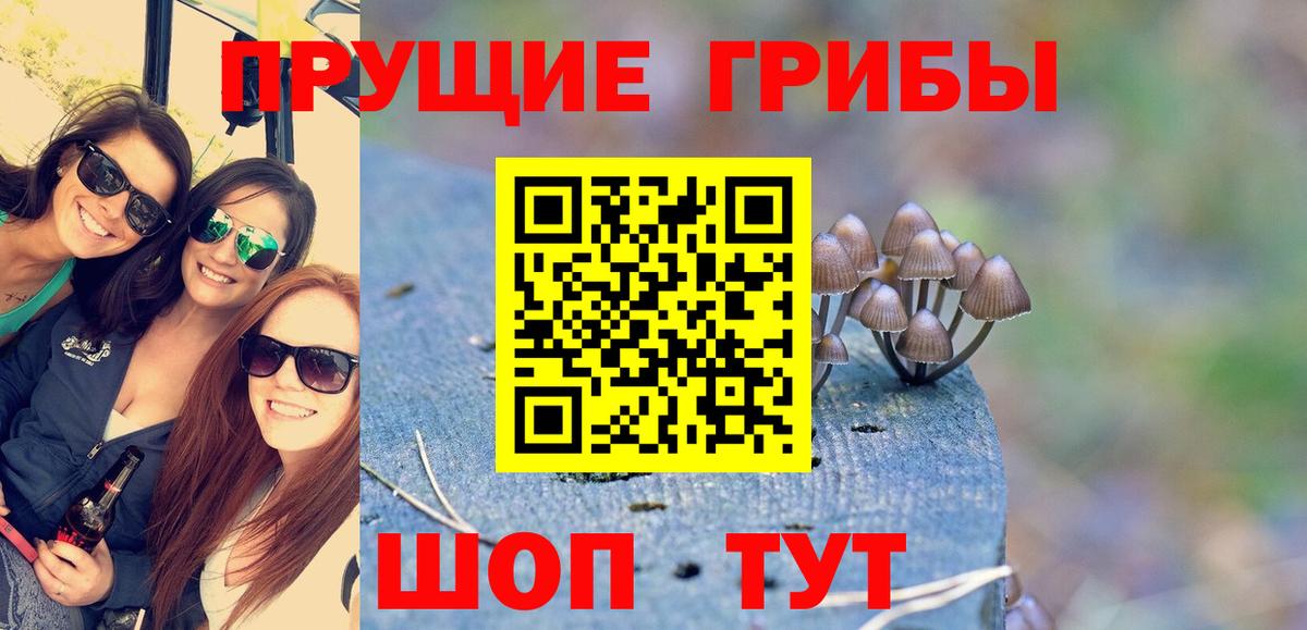 Воронеж  Галлюциногенные грибы MAGIC MUSHROOMS  Вход с VPN  Псилоцибиновые грибы Cubensis 