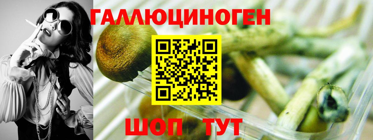 Галлюциногенные грибы мухоморы  Воронеж  Псилоцибиновые грибы Psilocybe 