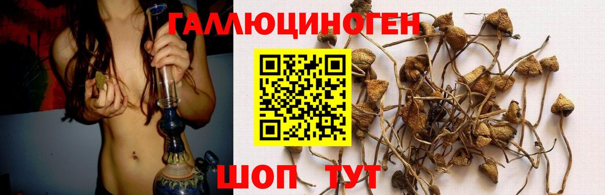 Псилоцибиновые грибы прущие грибы Воронеж