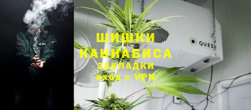 купить   Воронеж  Конопля Ganja 