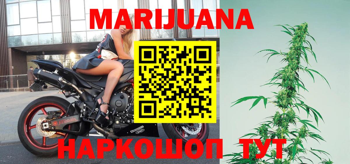 Каннабис OG Kush Воронеж