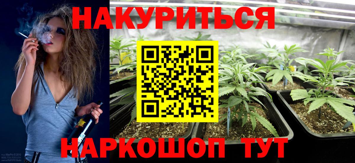 Воронеж  Канабис семена  Бошки марихуана конопля  Бошки Шишки план  Вход с VPN 